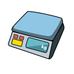 Electronic Weight Scale